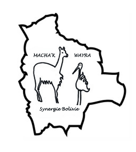 logo association Macha'K Wayra, synergie Bolivie
