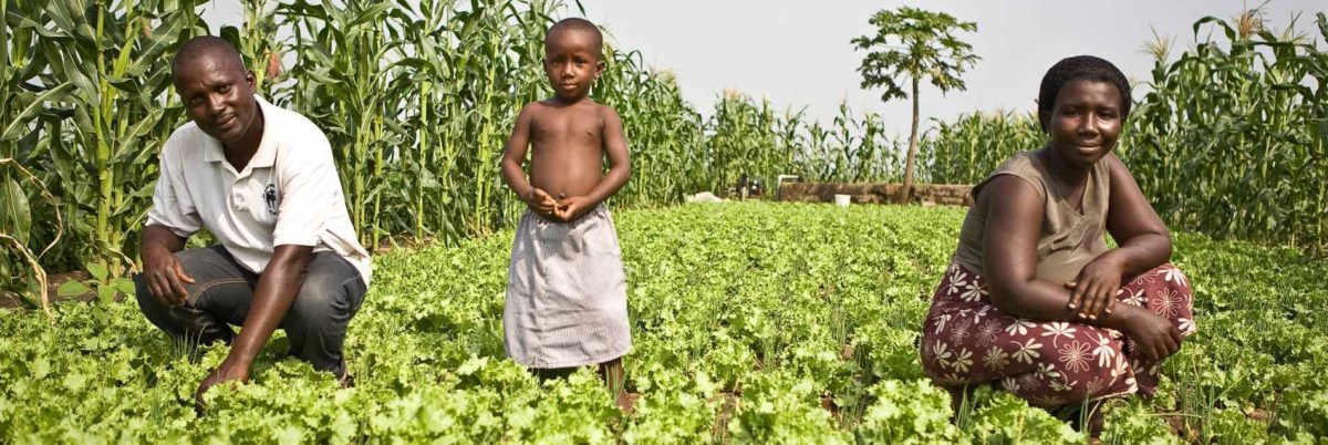 APPEL À PROJETS : « Promotion de l’agriculture familiale en Afrique de l’Ouest »